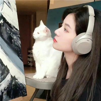精灵高中之纽约